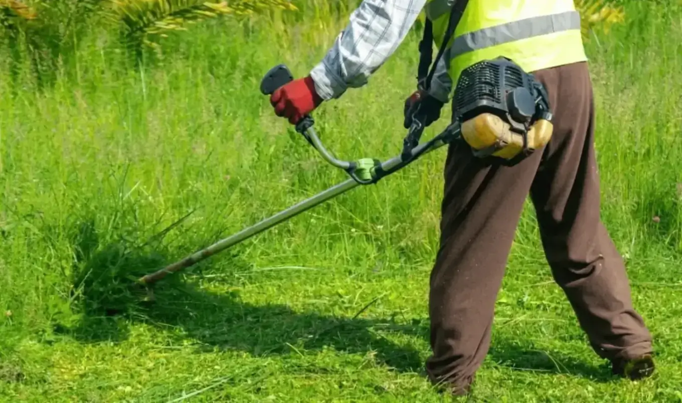 Uređenje dvorišta i zelenog otpada